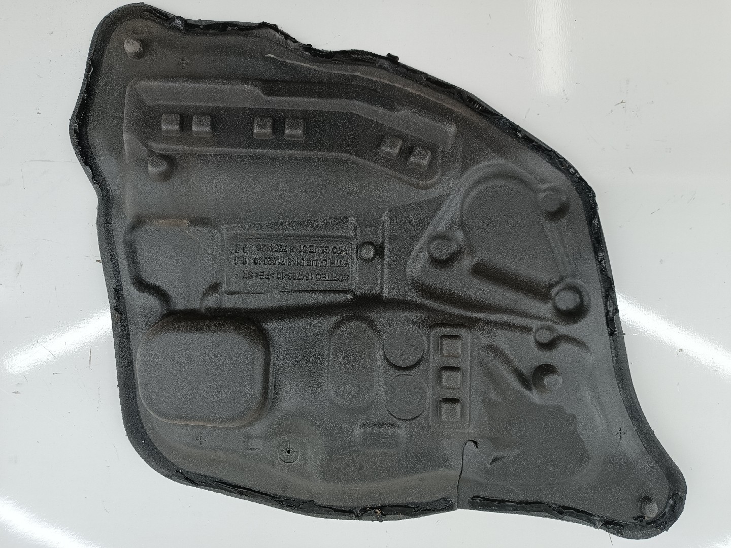 Isolante de Porta Tras Esquerdo BMW 5 (F10) | 09 - 16
