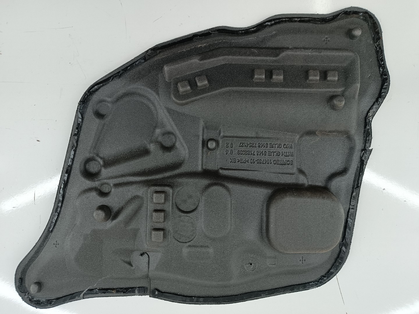 Isolante de Porta Tras Esquerdo BMW 5 (F10) | 09 - 16