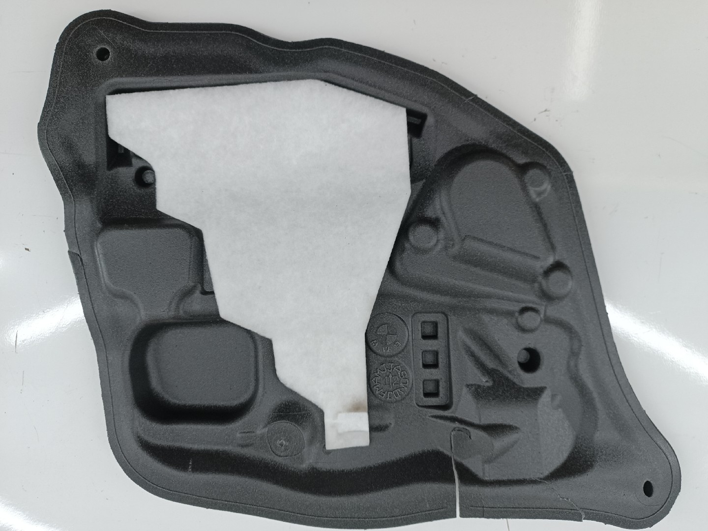 Isolante de Porta Tras Esquerdo BMW 5 (F10) | 09 - 16 Imagem-2