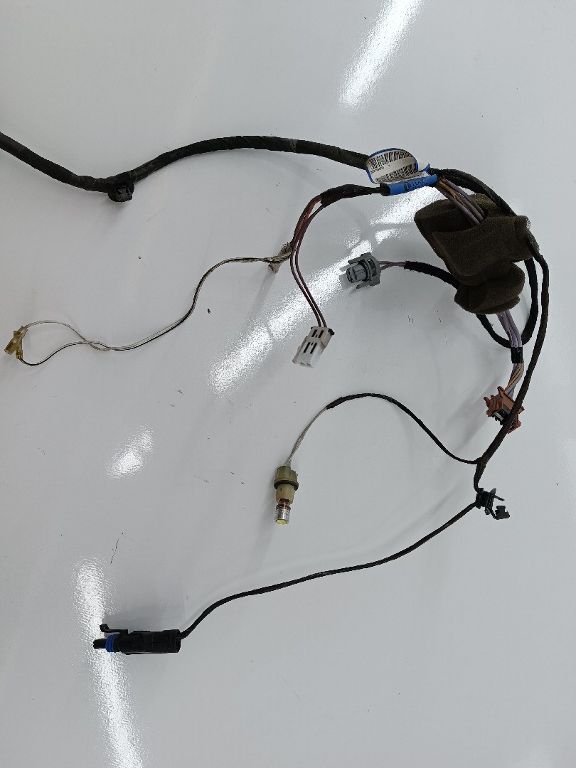 Instalação eléctrica porta trás direita RENAULT LAGUNA II Grandtour (KG0/1_) | 01 - 07 Imagem-1