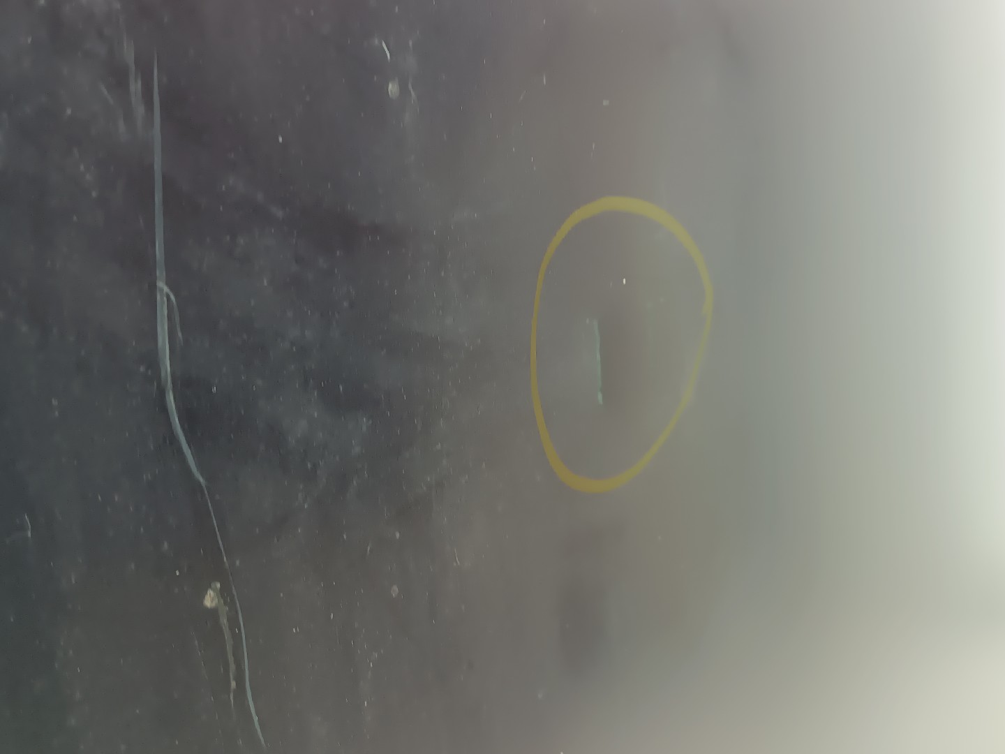 Capot FORD FOCUS (DAW, DBW) | 98 - 09 Imagem-3