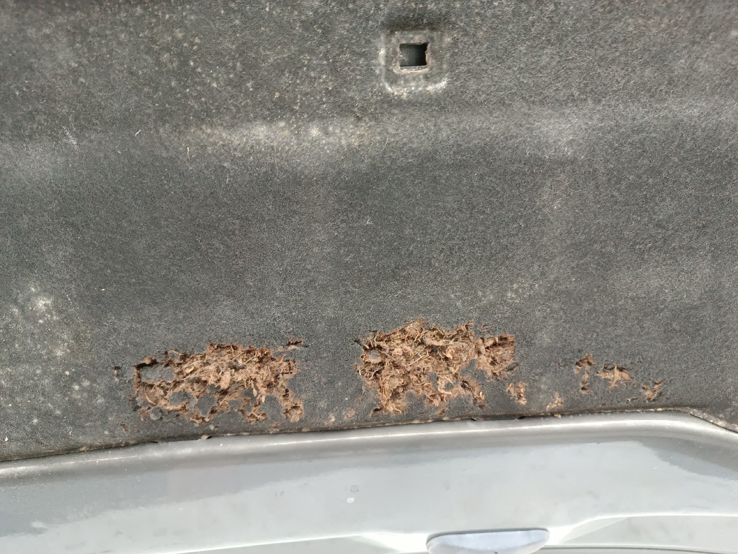 Capo VOLKSWAGEN TOURAN (1T1, 1T2) | 03 - 10 Imagem-1