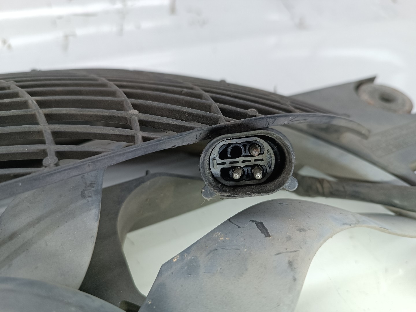 Termo ventiladores BMW 3 Touring (E46) | 99 - 05 Imagem-2