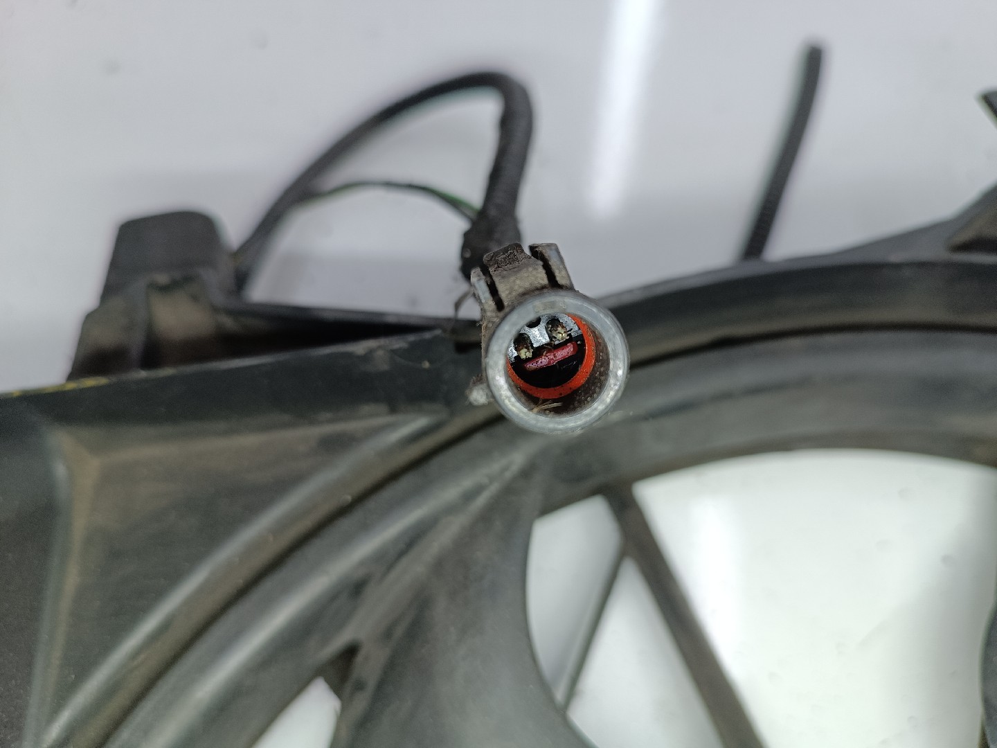 Termo ventiladores FORD FOCUS (DAW, DBW) | 98 - 09 Imagem-3