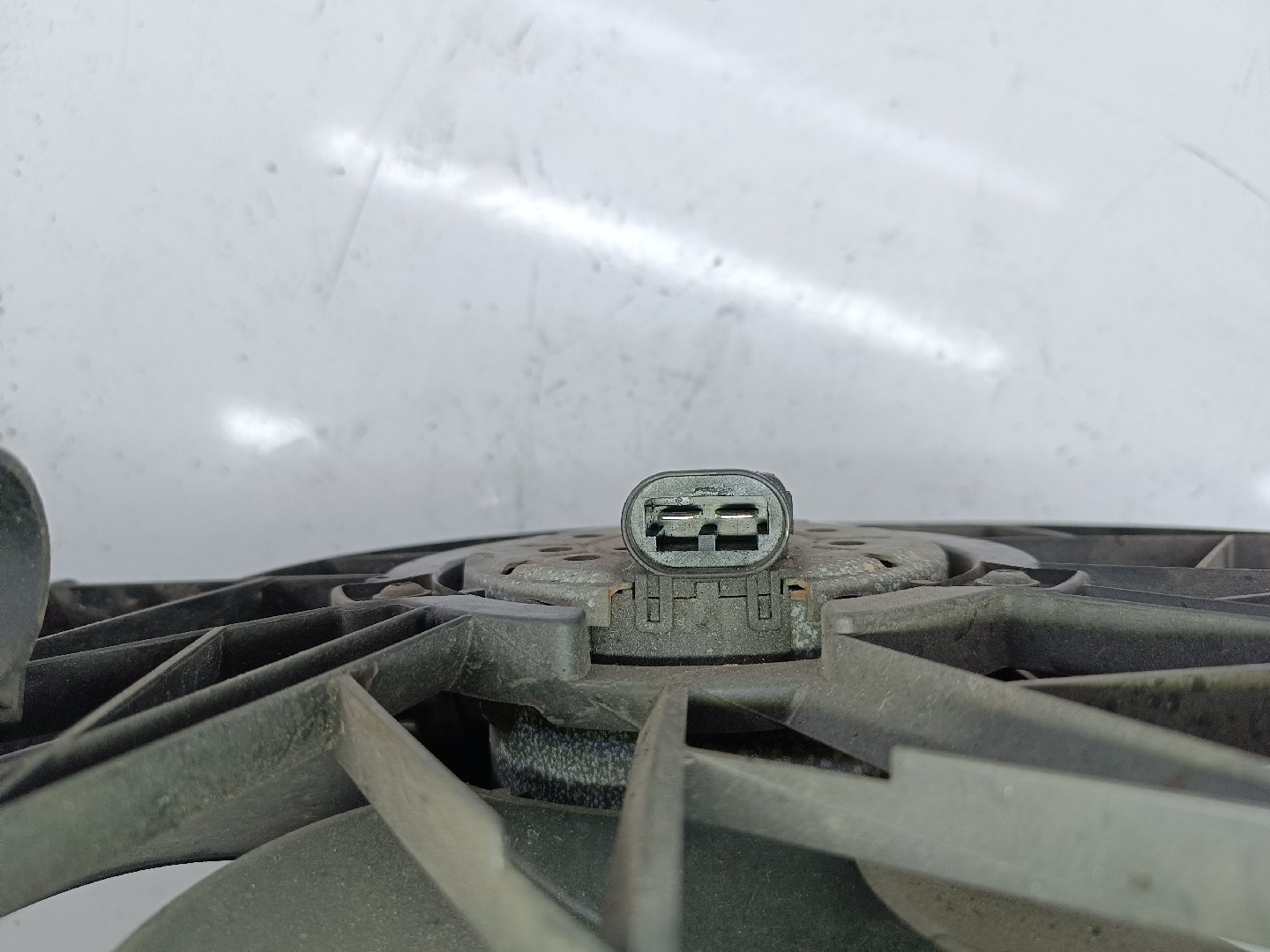 Termo ventilador RENAULT KANGOO Express (FC0/1_) | 97 -  Imagem-4