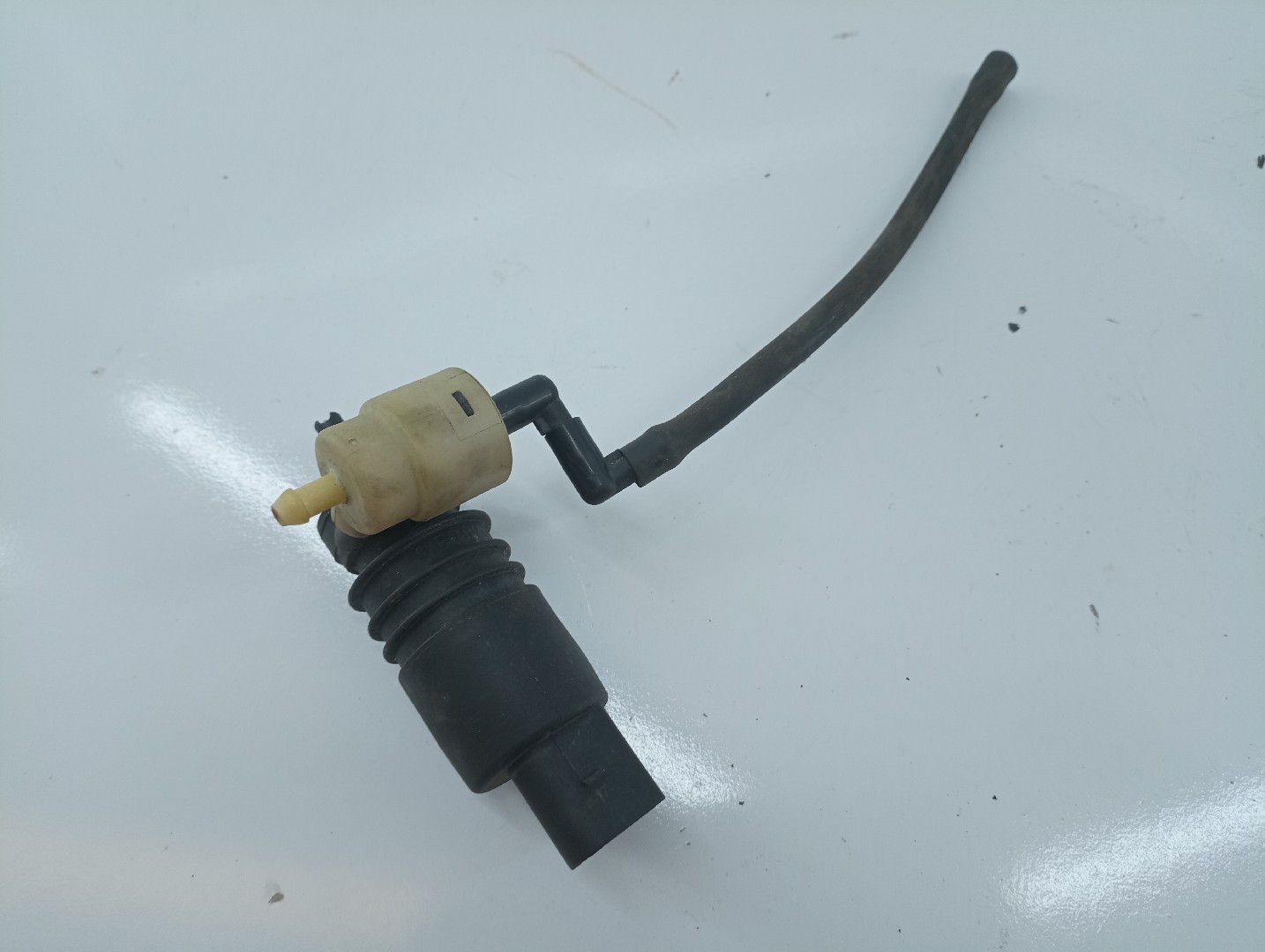 Motor de esguicho VOLKSWAGEN GOLF IV (1J1) | 97 - 07