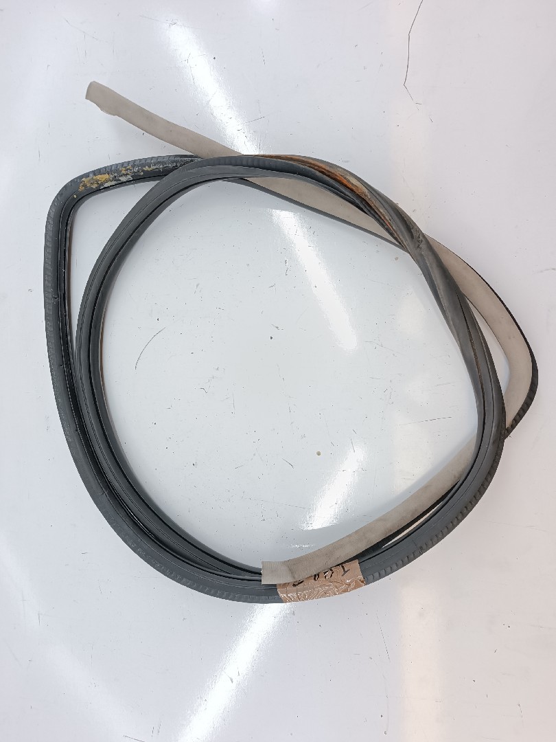 Borracha Da Porta Traseira Direita VOLKSWAGEN GOLF IV (1J1) | 97 - 07