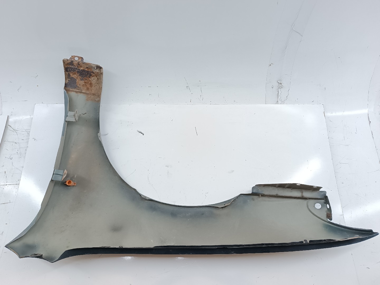 Guarda Lamas Direito FORD MONDEO I (GBP) | 93 - 96