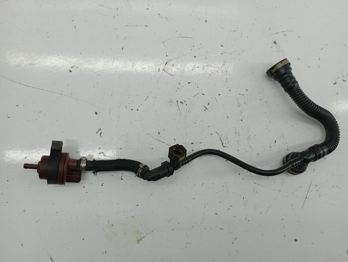 Tubo flexível de respiro CITROEN C3 I (FC_, FN_) | 02 - 
