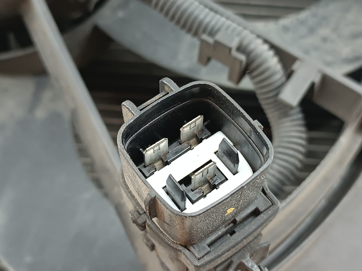 Radiador da Água KIA SPORTAGE (JE_, KM_) | 04 -  Imagem-2