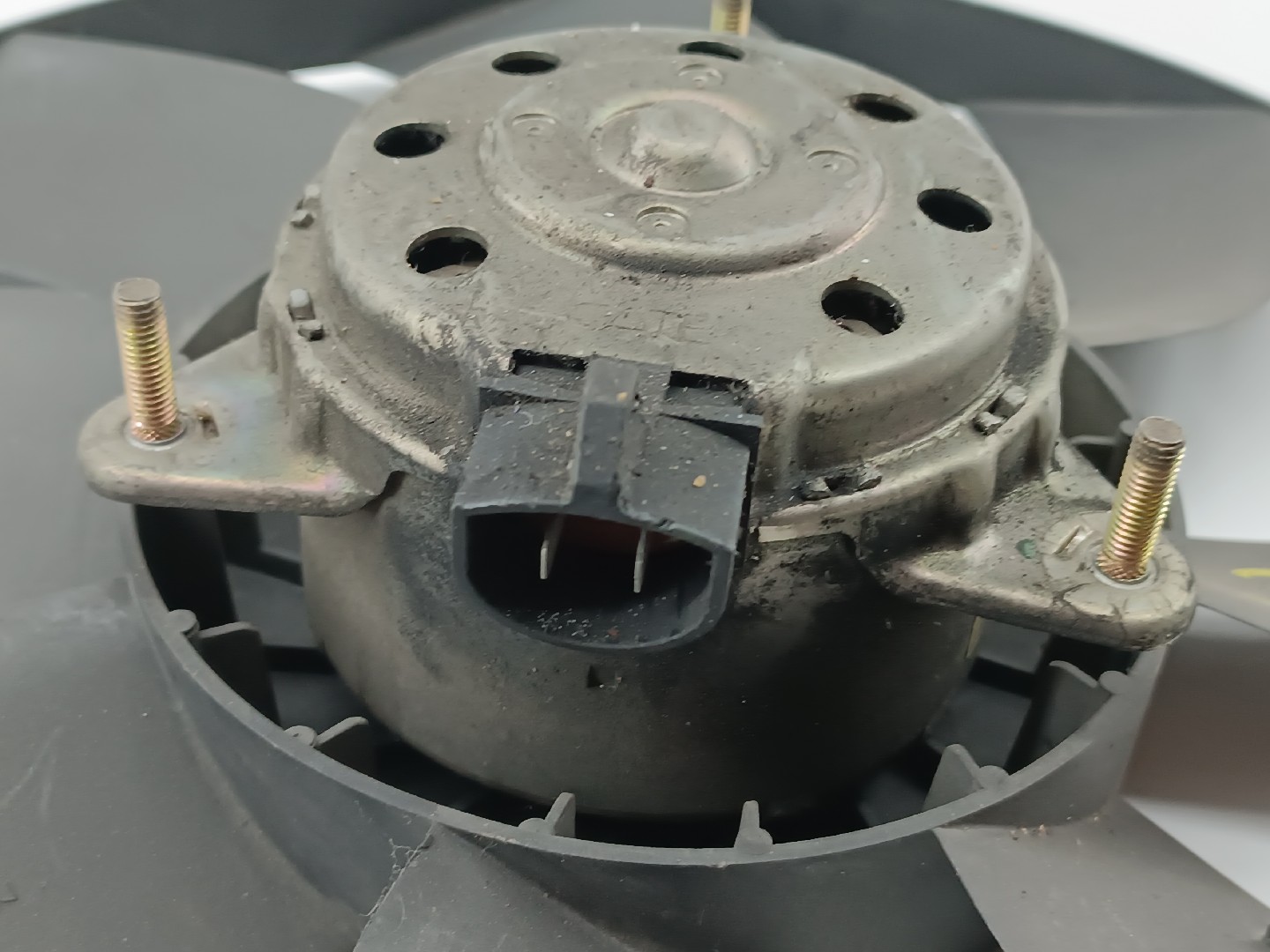 Termo ventilador FORD FIESTA V (JH_, JD_) | 01 - 14 Imagem-1