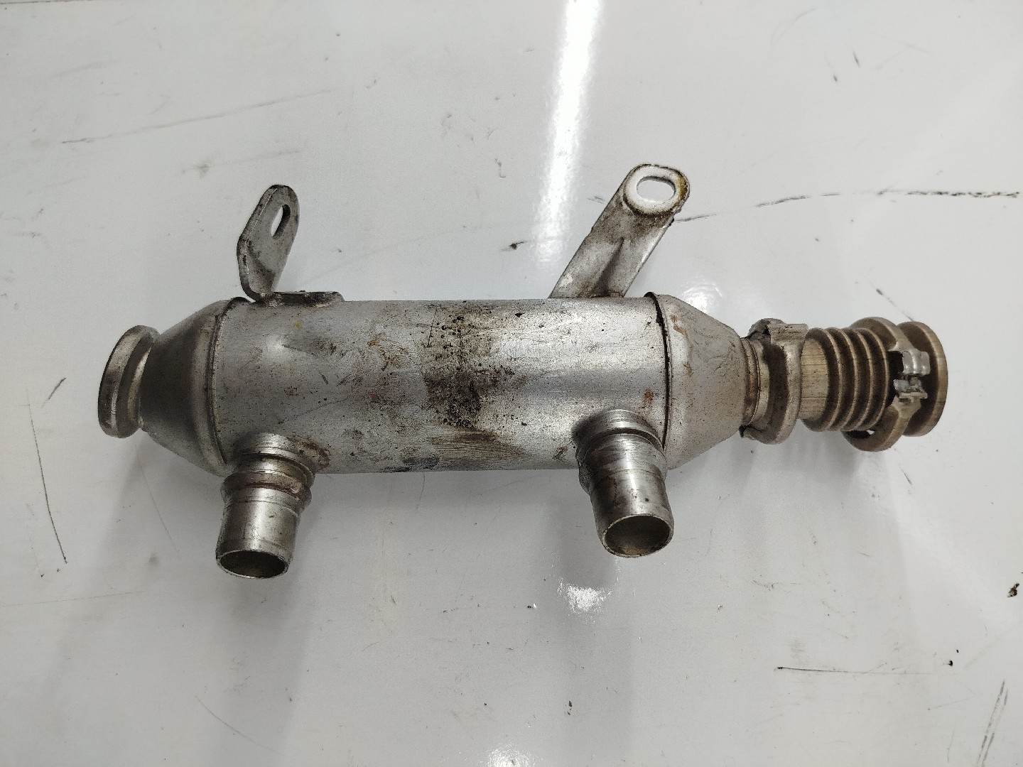 EGR Radiador  CITROEN C5 I Break (DE_) | 01 - 04 Imagem-1