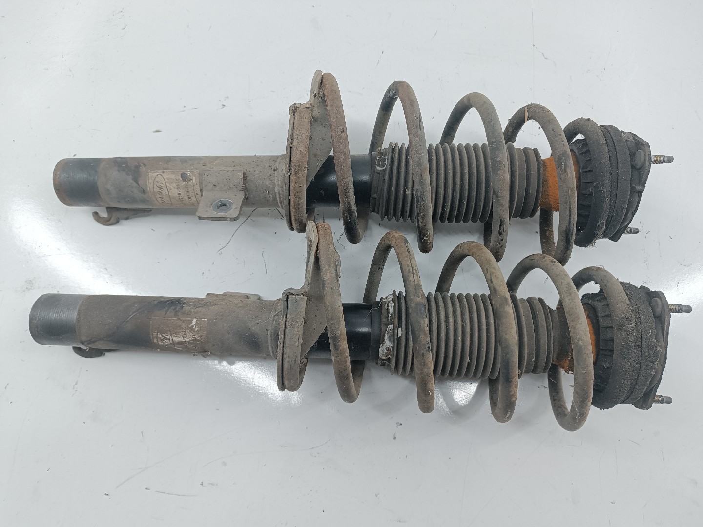Amortecedores da frente FORD TRANSIT CONNECT (P65_, P70_, P80_) | 02 - 