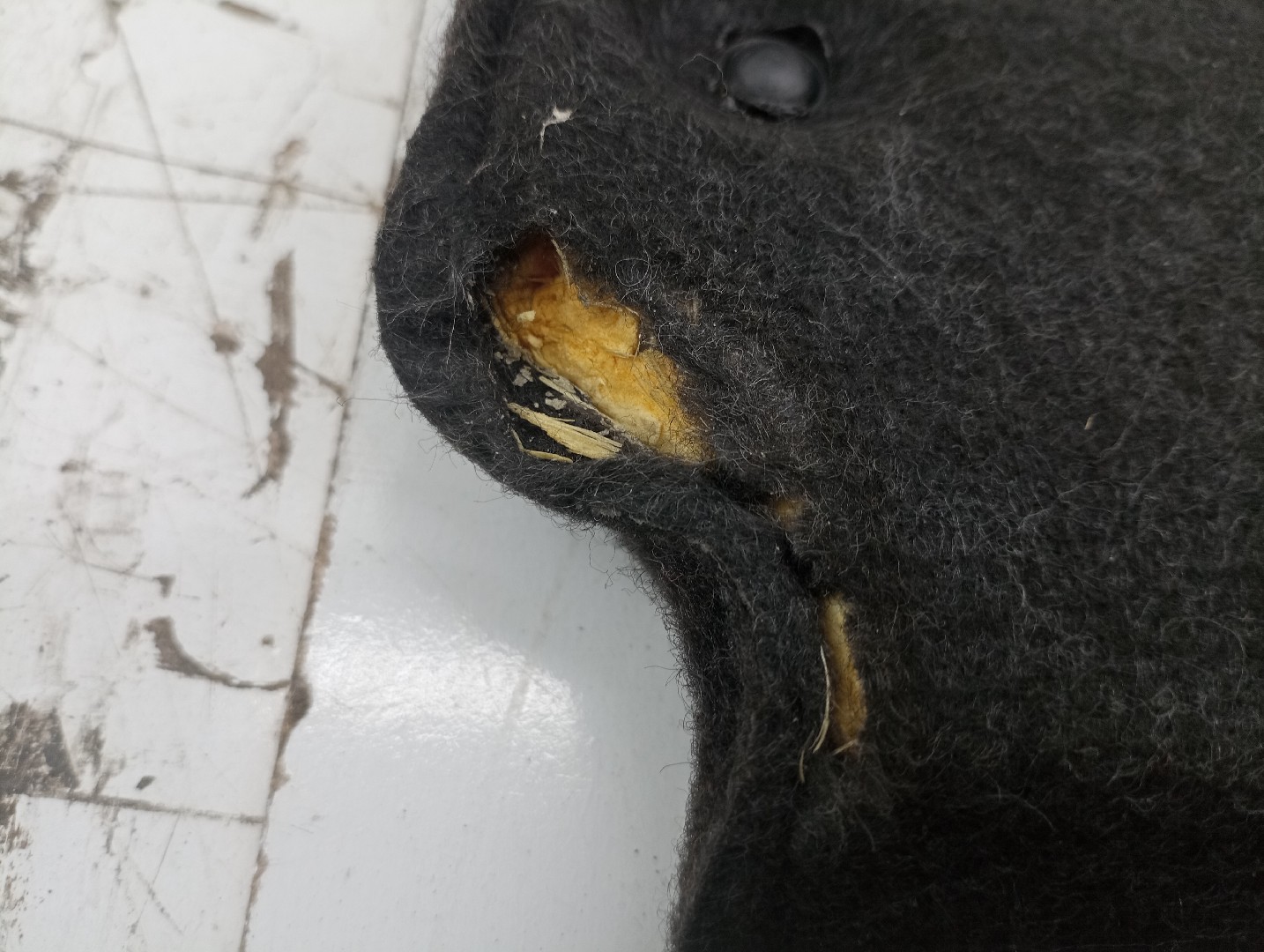 Cortina / Tampo da Mala PEUGEOT 307 (3A/C) | 00 - 12 Imagem-2