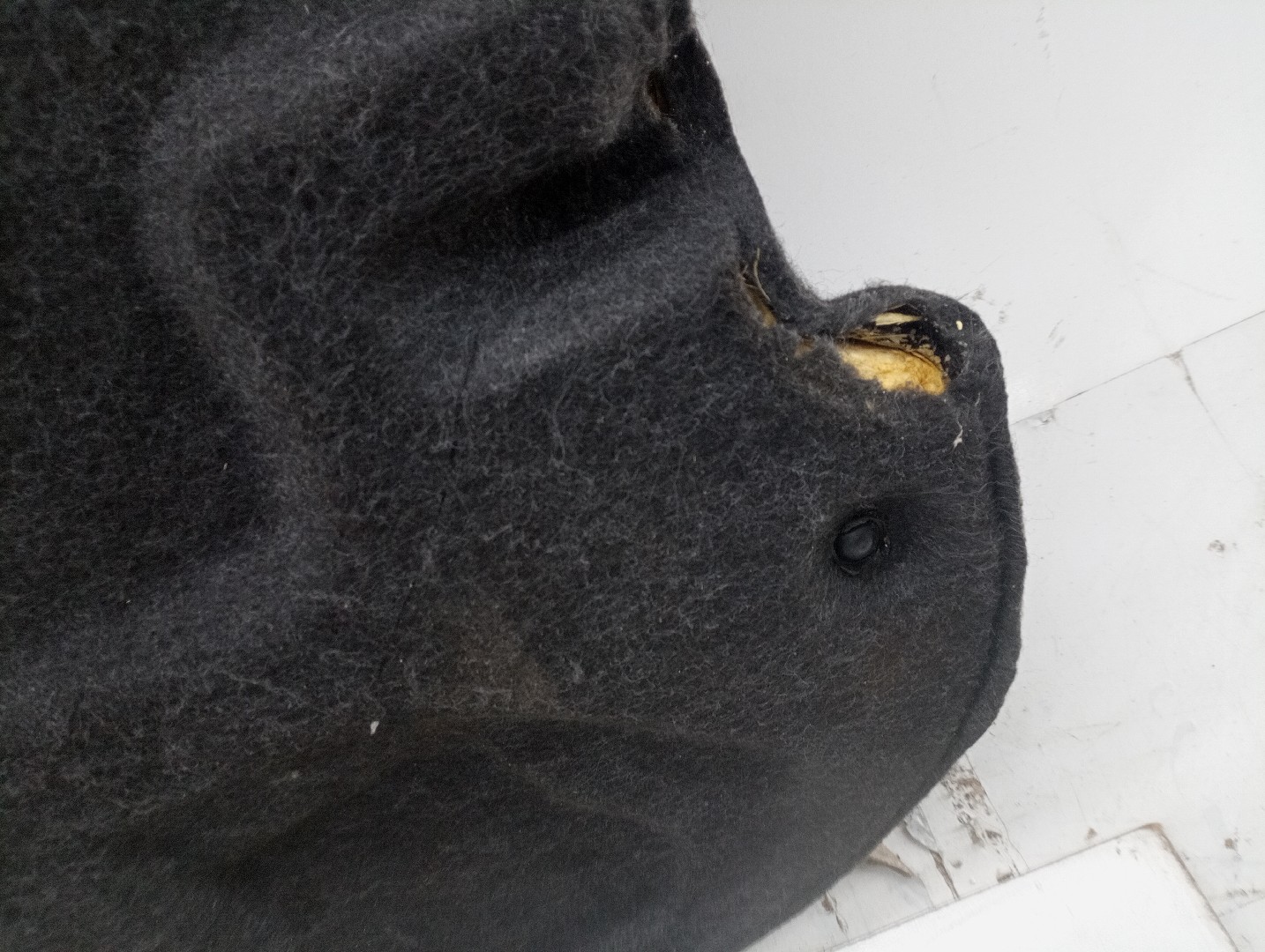 Cortina / Tampo da Mala PEUGEOT 307 (3A/C) | 00 - 12 Imagem-4