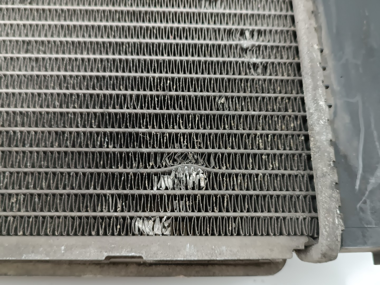 Termo ventilador TOYOTA COROLLA (_E12_) | 01 - 07 Imagem-5
