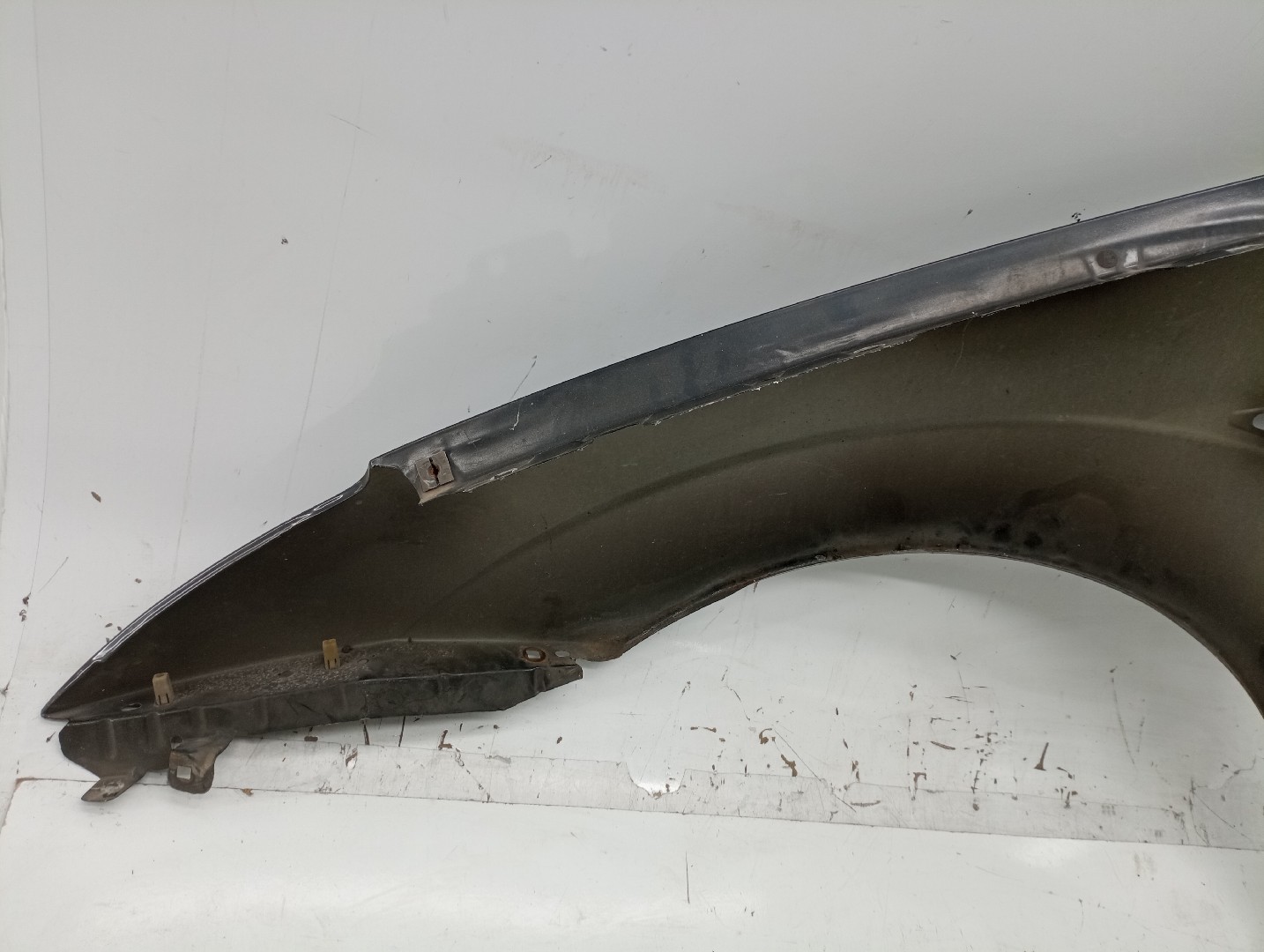 Guarda Lamas Direito FORD FOCUS (DAW, DBW) | 98 - 09 Imagem-5