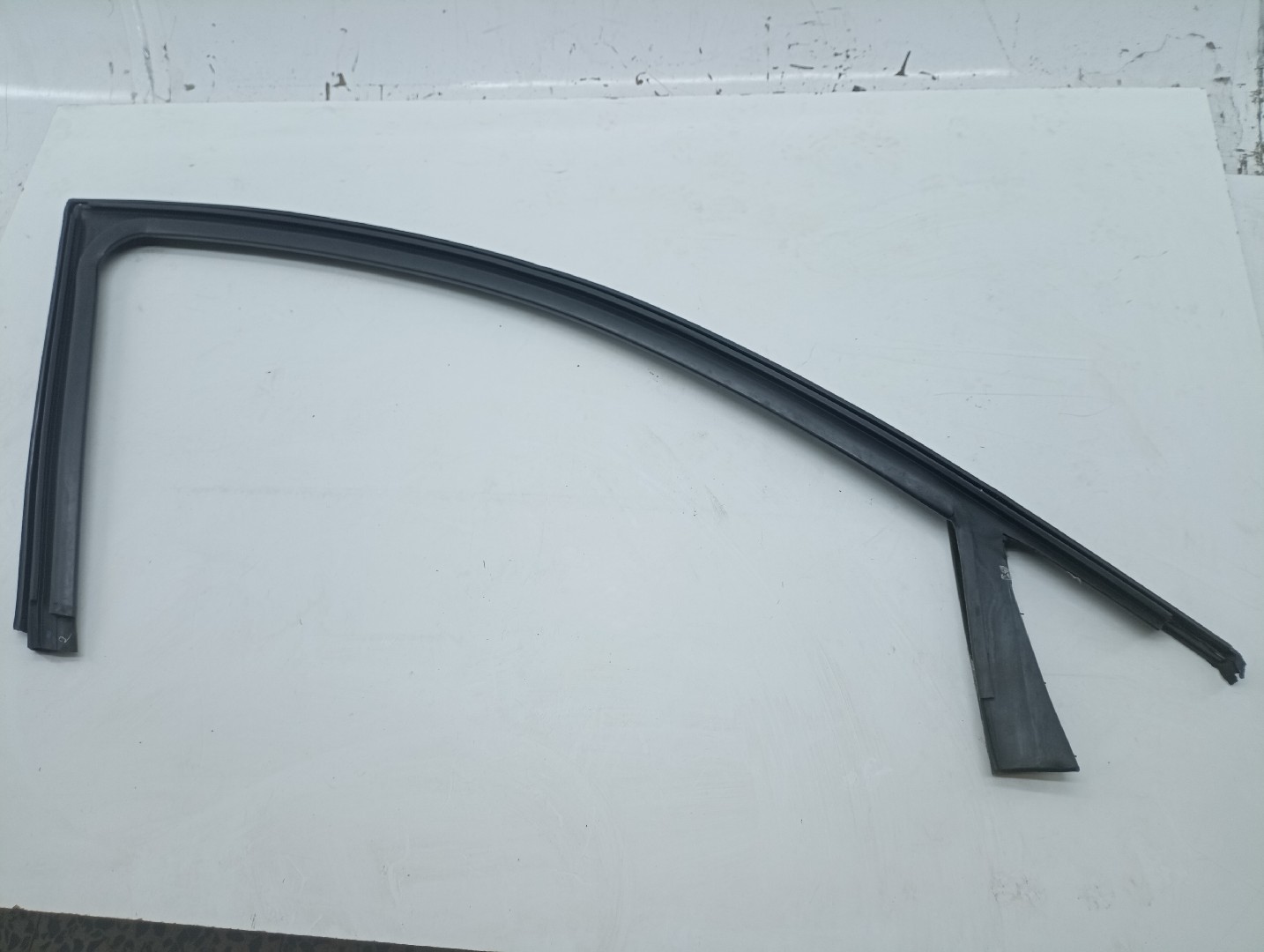 Borracha da porta RENAULT MEGANE II (BM0/1_, CM0/1_) | 01 - 12