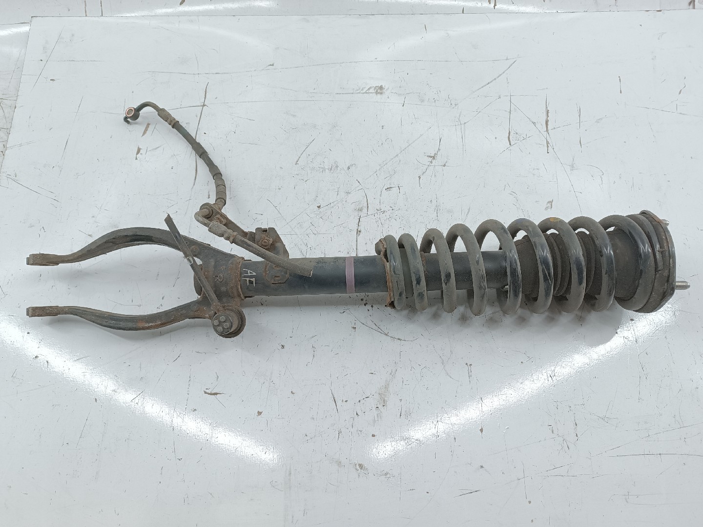 Amortecedor frente direito MAZDA 6 Hatchback (GH) | 07 - 13