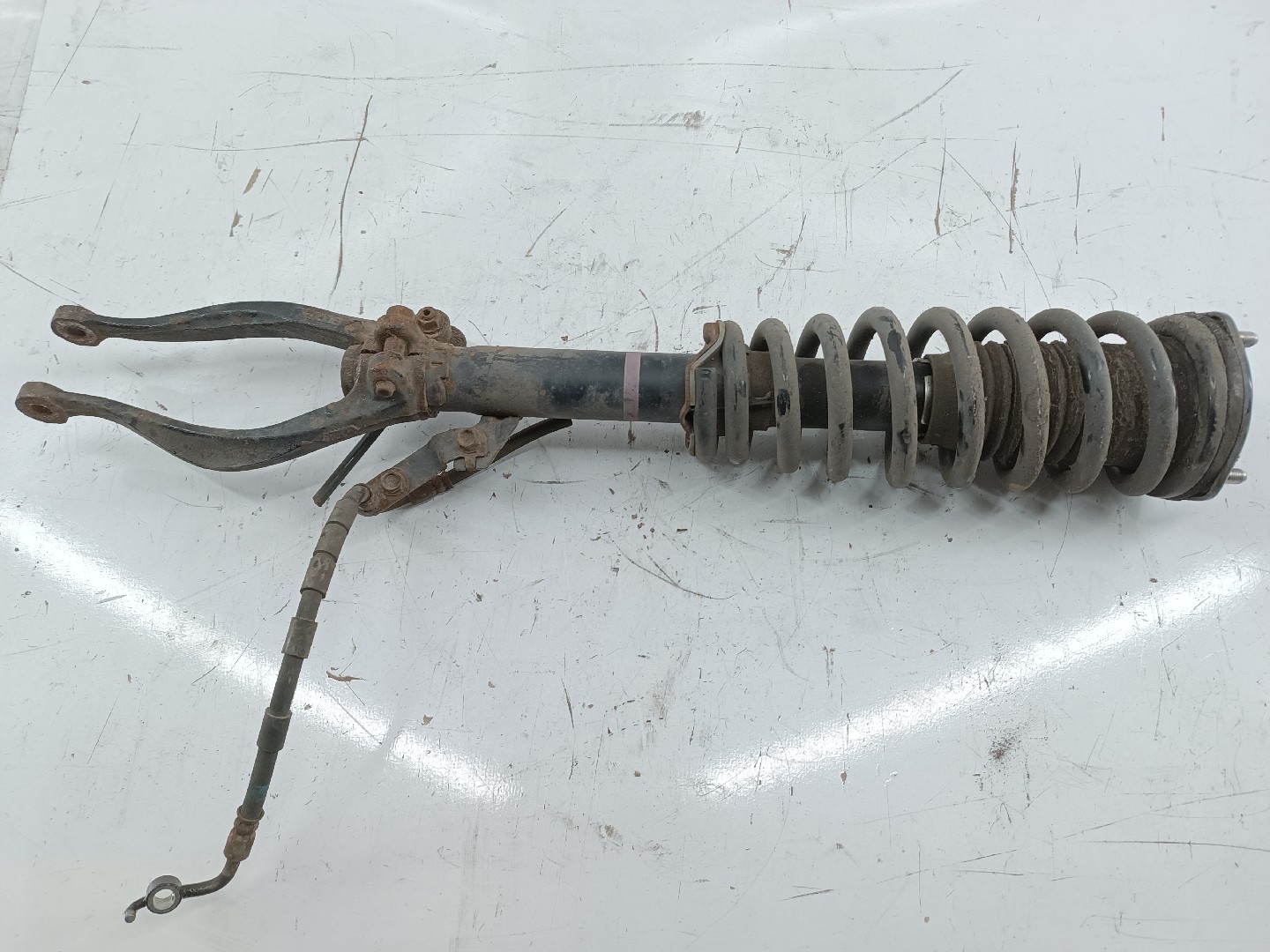 Amortecedor frente direito MAZDA 6 Hatchback (GH) | 07 - 13 Imagem-3