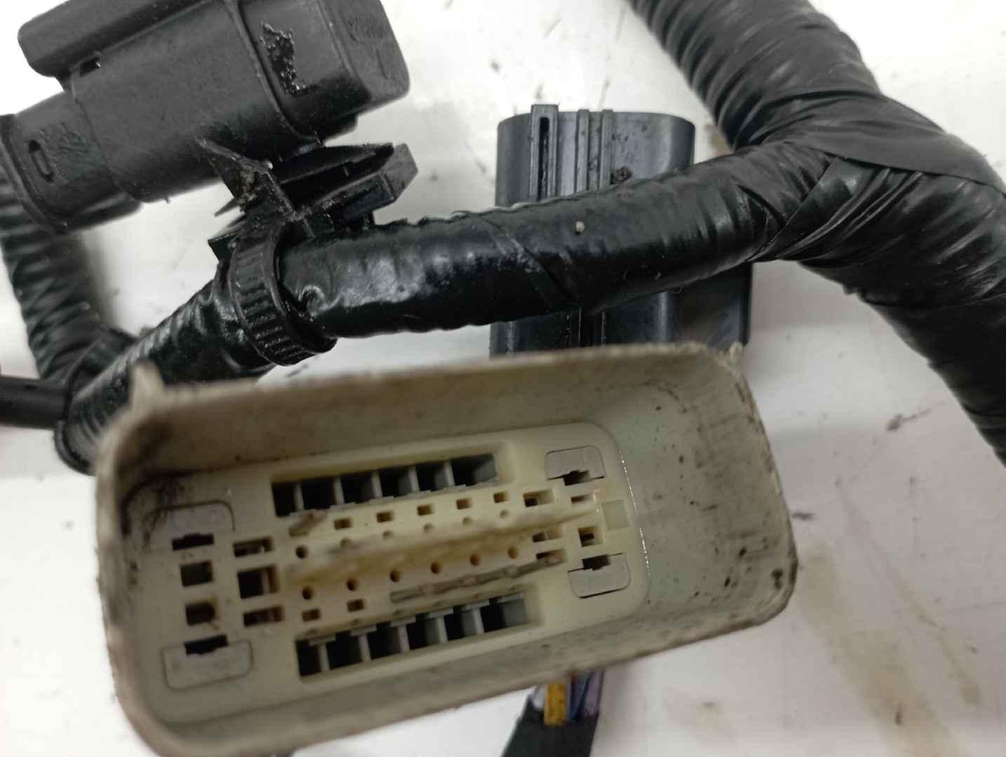 Instalação Elétrica do Motor FORD FOCUS IV Turnier (HP) | 18 -  Imagem-1