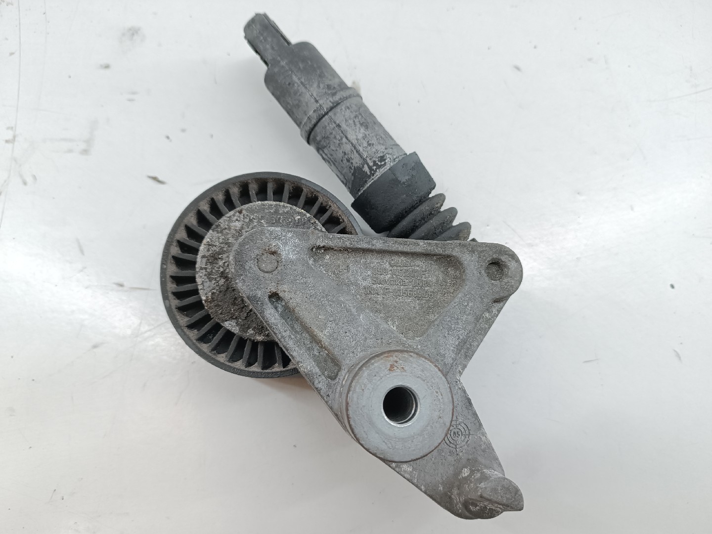 Rolo tensor, correia trapezoidal VOLKSWAGEN TOUAREG (7LA, 7L6, 7L7) | 02 - 13