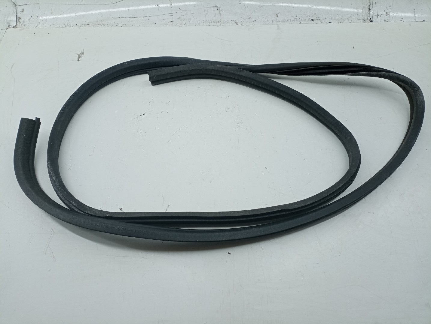 Borracha de mala RENAULT MEGANE Scenic (JA0/1_) | 96 - 01