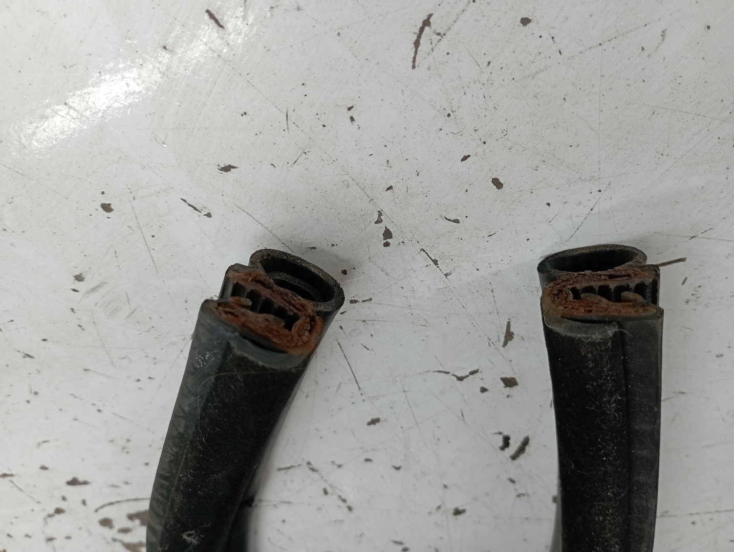 Borracha Da Porta Traseira Direita BMW 3 (E46) | 97 - 05 Imagem-4