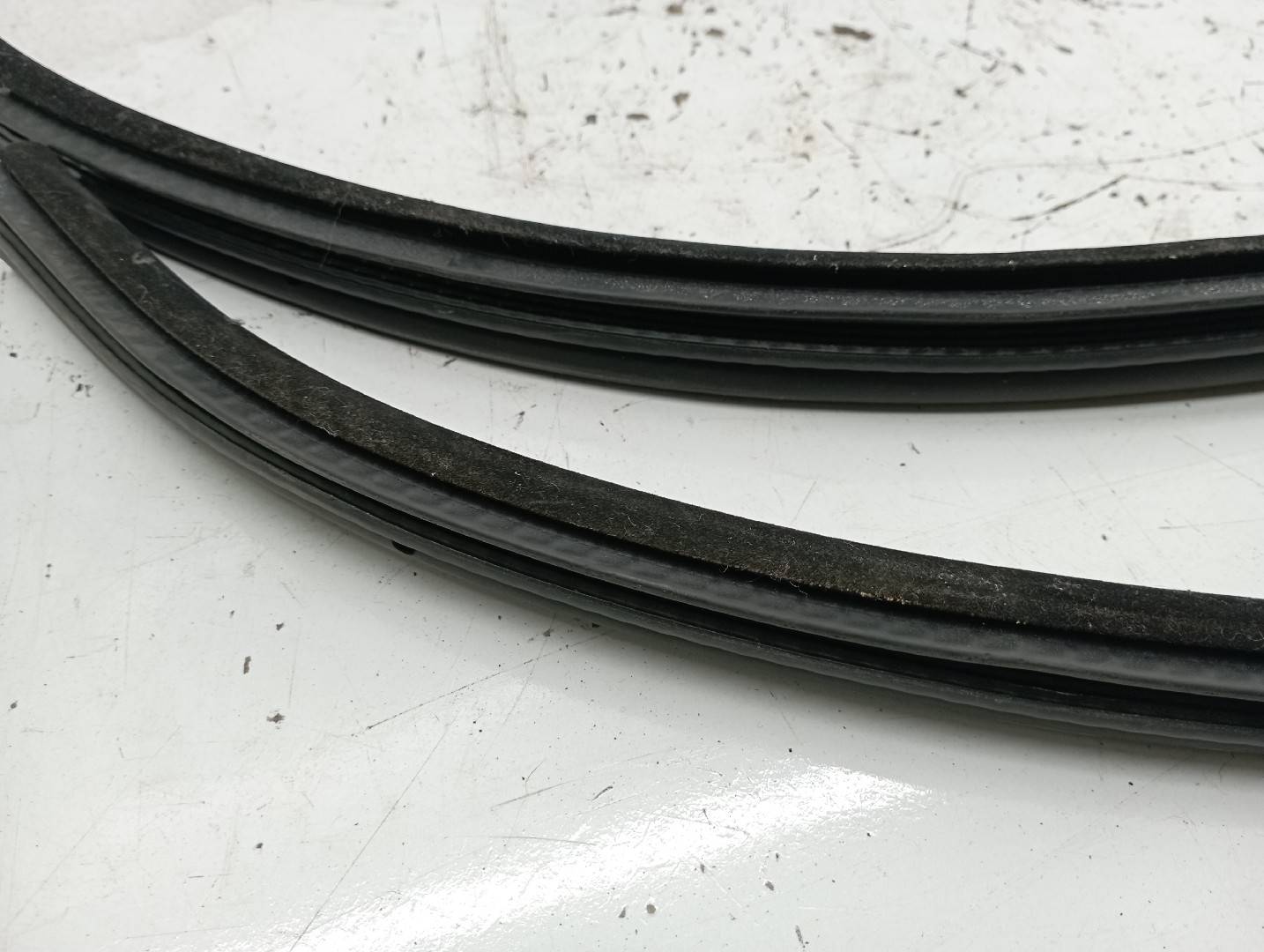 Borracha Da Porta Traseira Direita BMW 3 (E46) | 97 - 05 Imagem-3