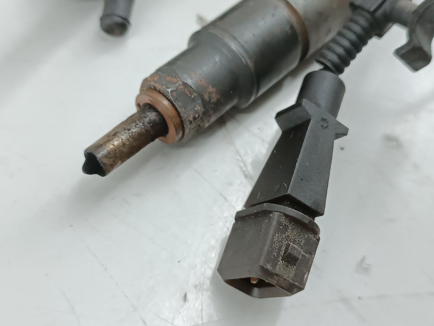 Conjunto Injectores SEAT CORDOBA (6K2) | 99 - 02 Imagem-3