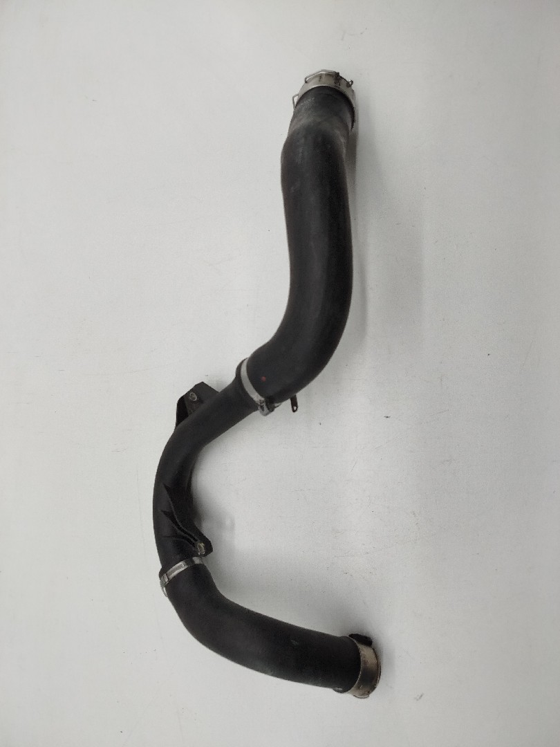 Tubagem do Intercooler RENAULT CLIO V (BF_) | 19 - 