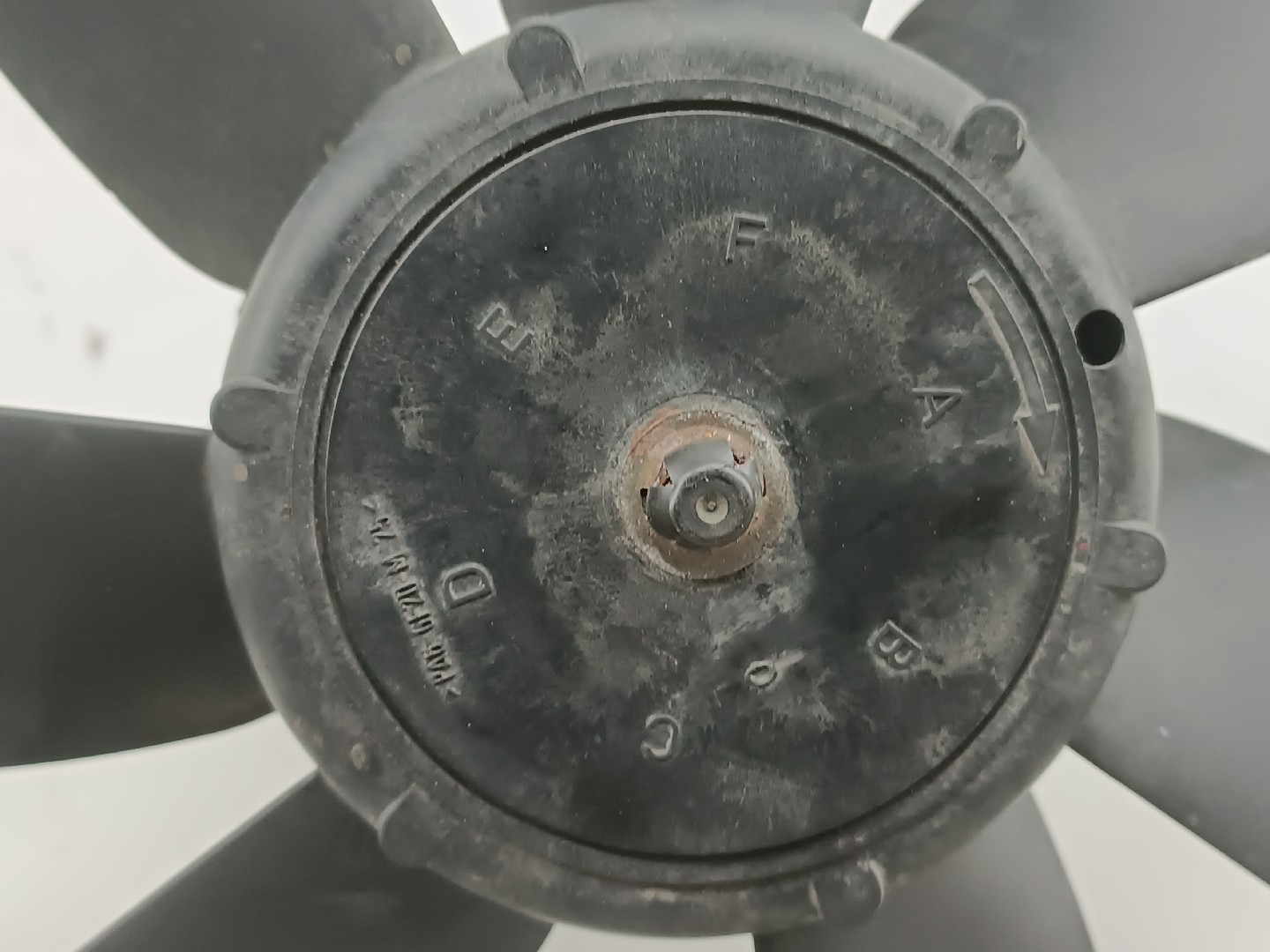 Termo ventilador VOLKSWAGEN GOLF III (1H1) | 91 - 98 Imagem-1