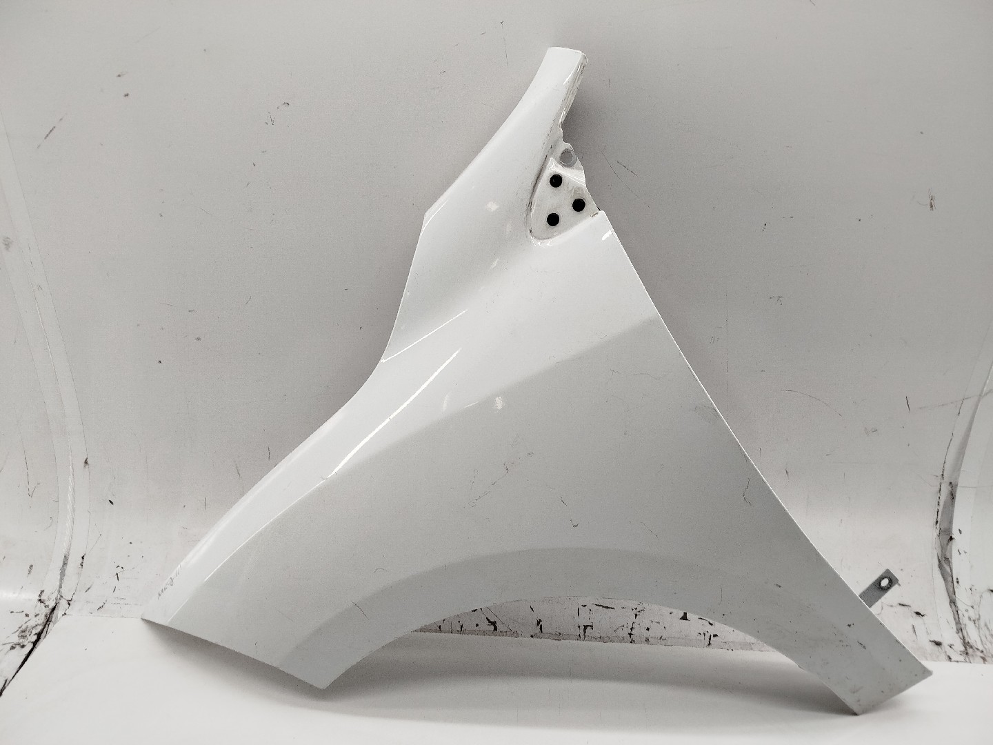 Guarda Lamas Esquerdo RENAULT MEGANE III Coupé (DZ0/1_) | 08 - 