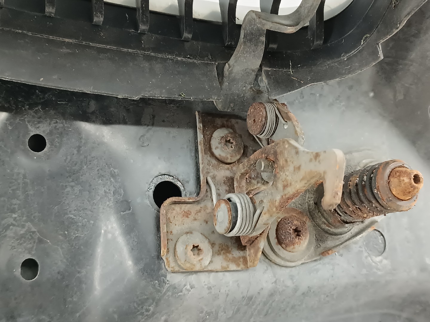 Capot BMW 3 (E46) | 97 - 05 Imagem-3