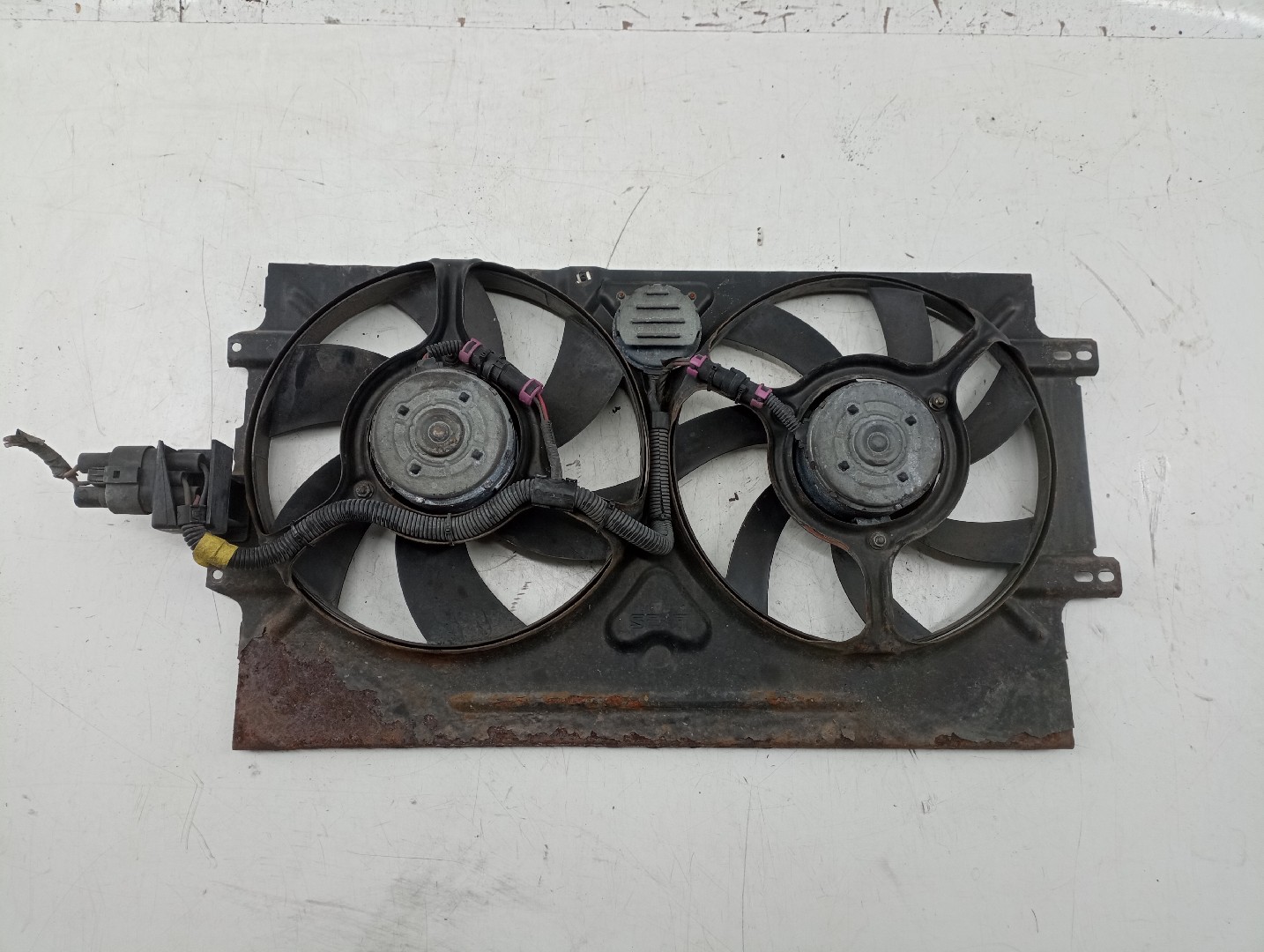 Termo ventilador SEAT IBIZA III (6K1) | 99 - 02