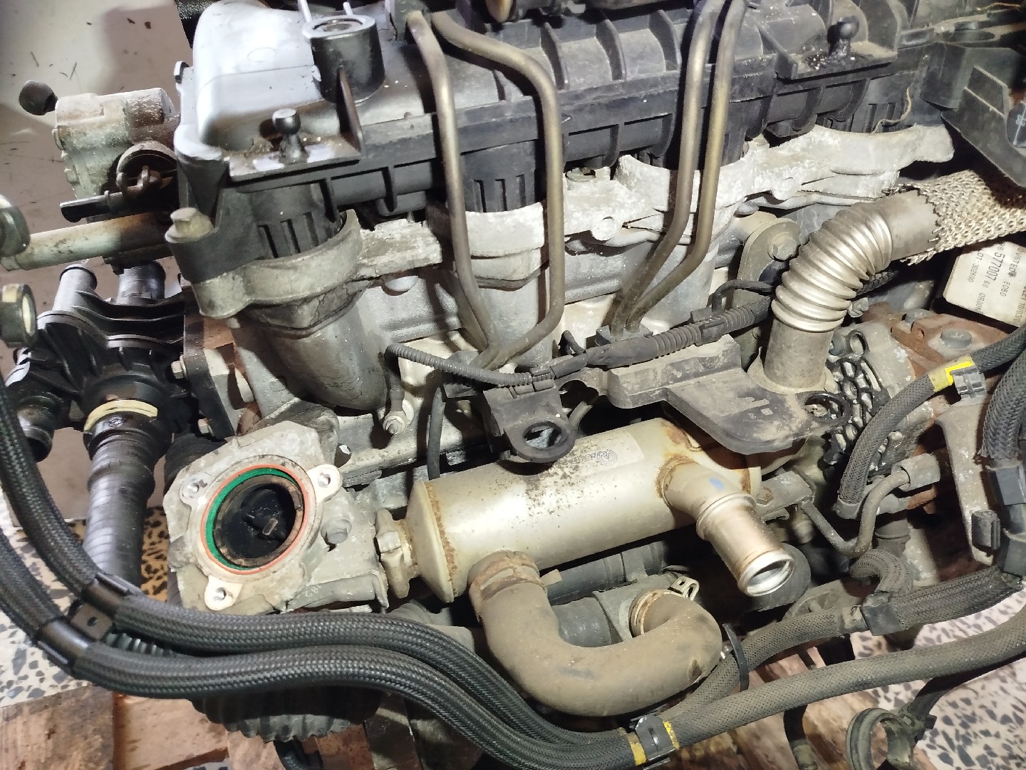 Motor CITROEN C5 II Break (RE_) | 04 -  Imagem-5