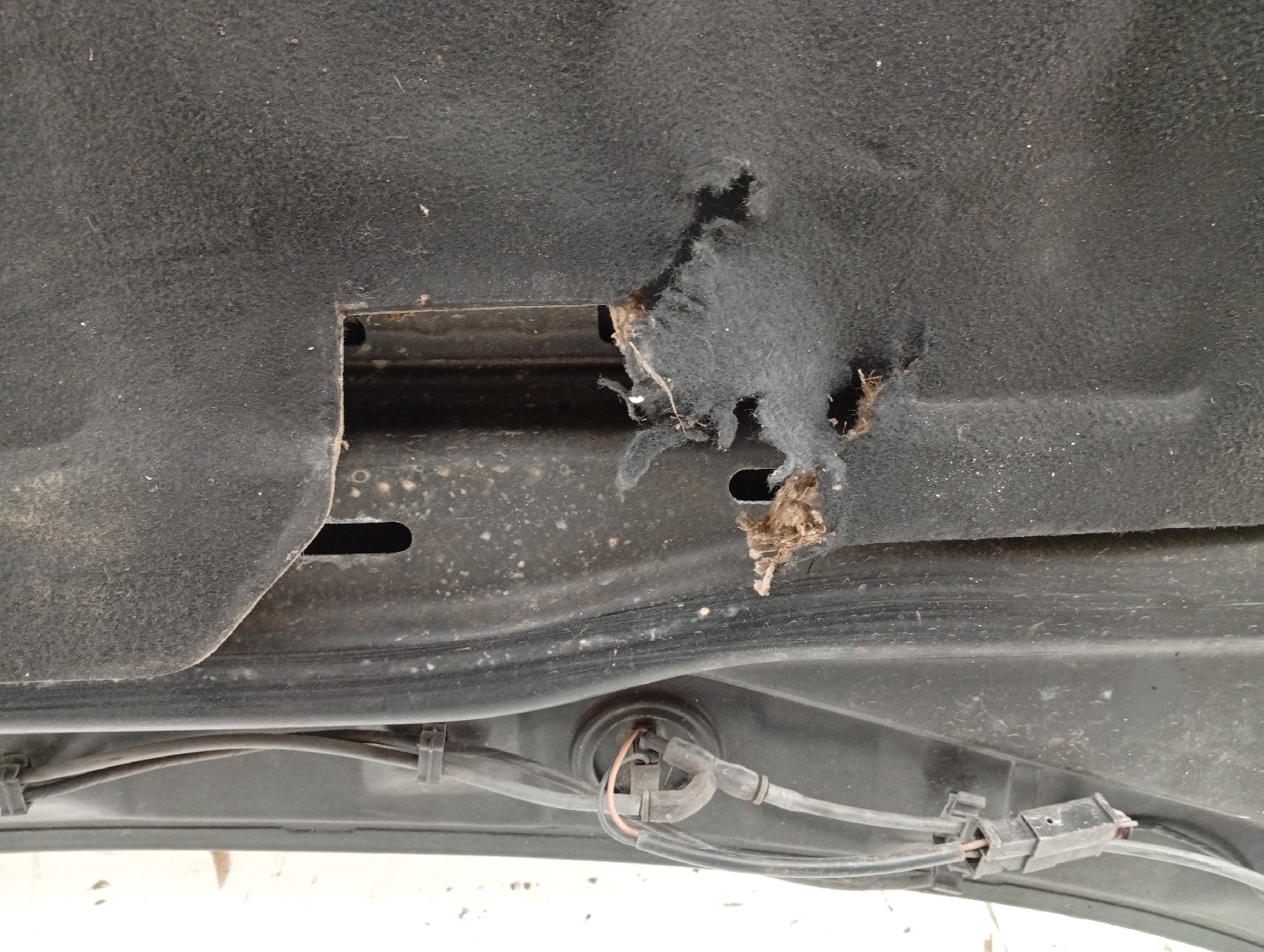 Capo VOLKSWAGEN POLO CLASSIC (6V2) | 95 - 09 Imagem-1