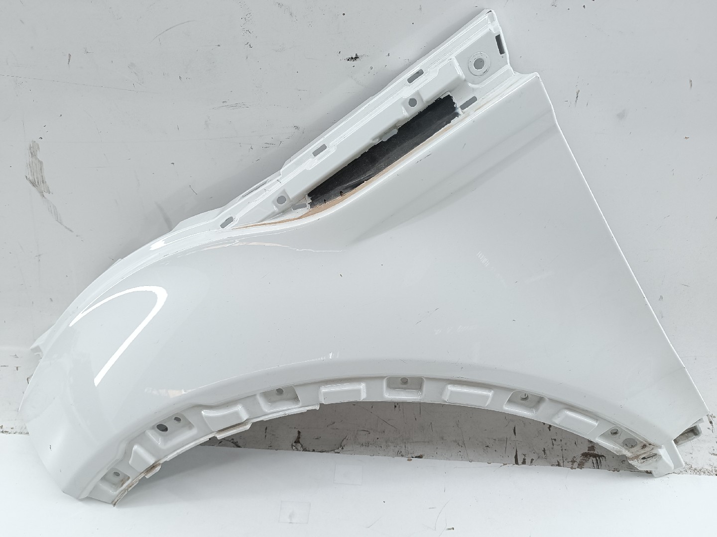 Guarda Lamas Esquerdo LAND ROVER RANGE ROVER EVOQUE (L538) | 11 -  Imagem-4