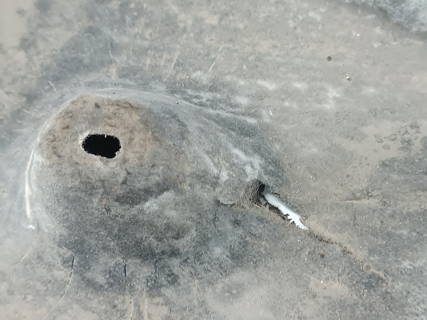 Proteção inferior de carroçaria BMW 6 (E63) | 03 - 10 Imagem-5