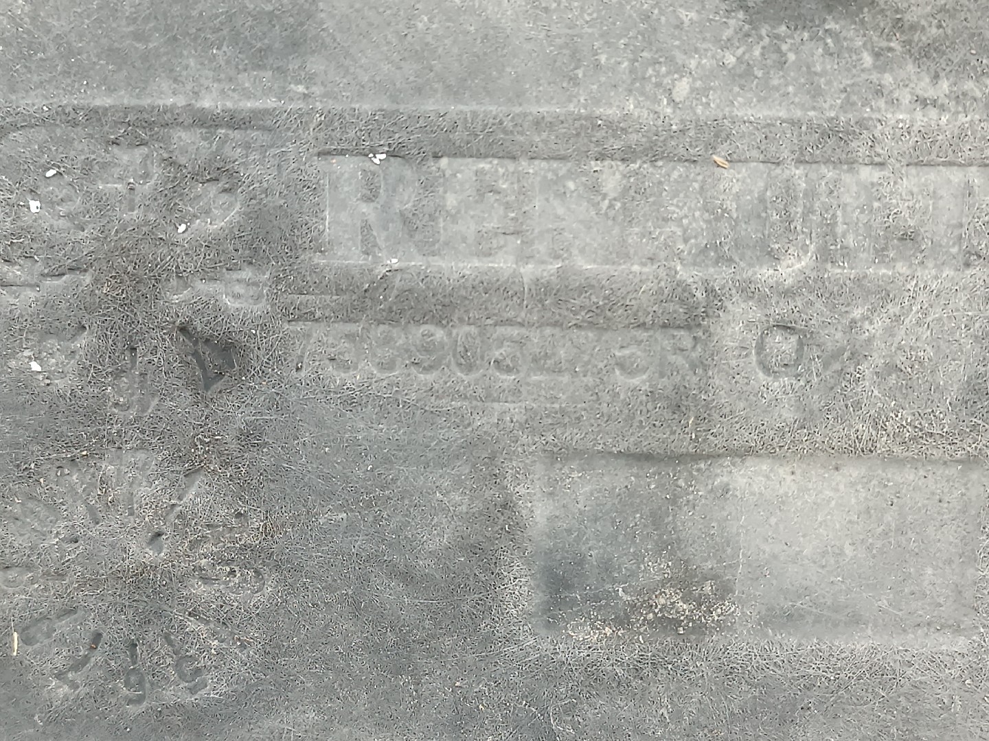 Proteção inferior de carroçaria RENAULT TALISMAN (L2M_) | 15 -  Imagem-3