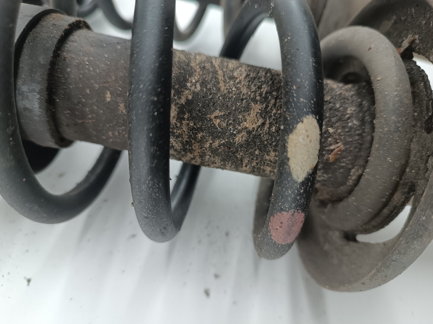 Amortecedores traseiros VOLKSWAGEN POLO CLASSIC (6V2) | 95 - 09 Imagem-3