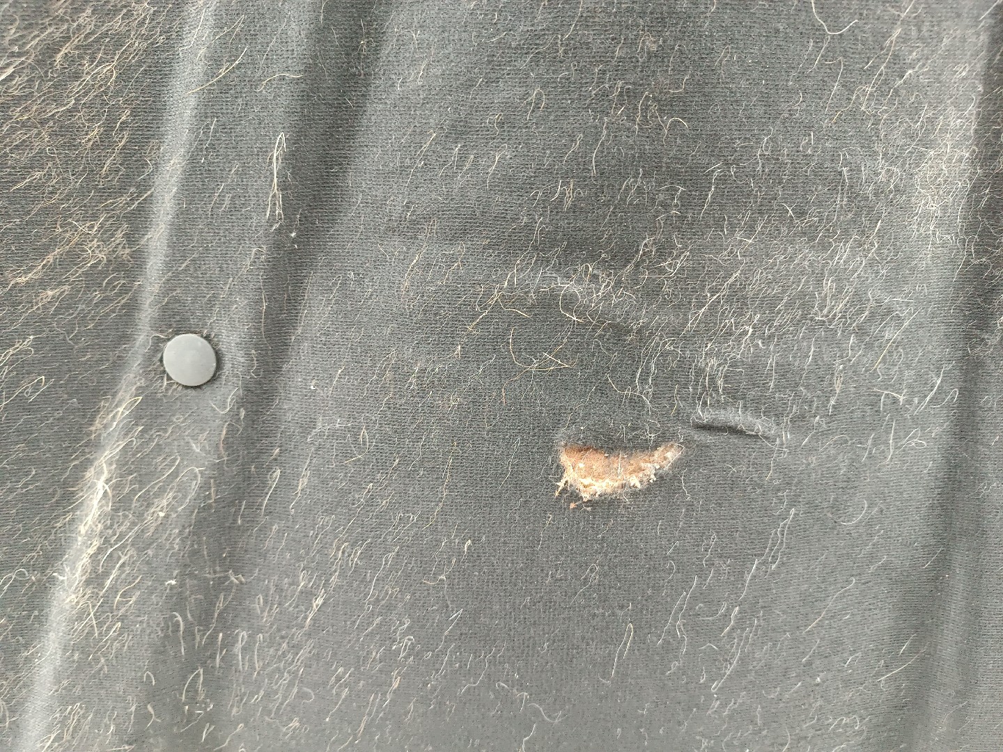 Capo FIAT PUNTO (176_) | 93 - 99 Imagem-3