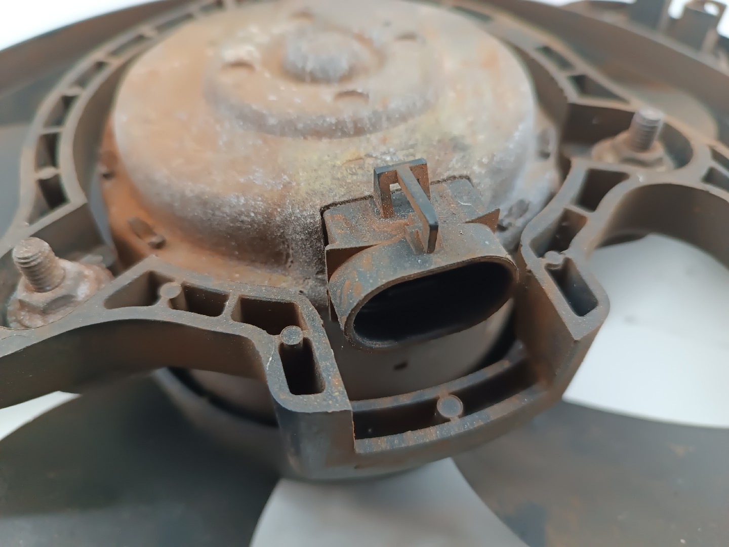 Termo ventilador FIAT PALIO Weekend (178_) | 96 -  Imagem-4