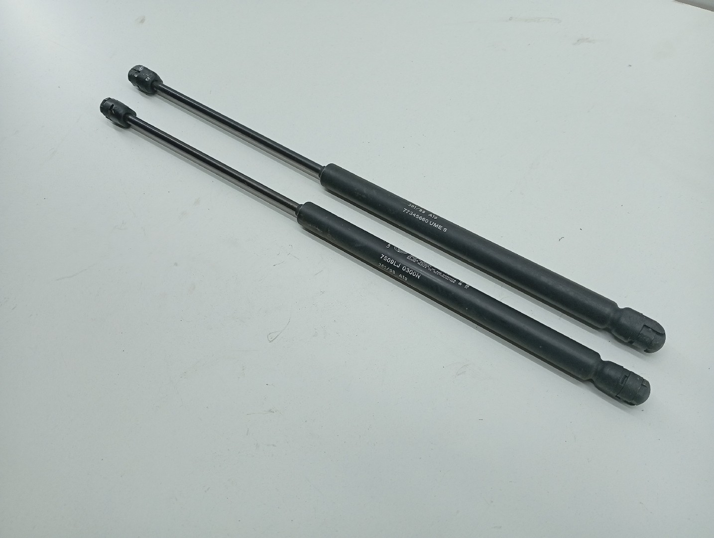Amortecedor de porta da mala FIAT PUNTO Van (176_) | 96 - 00