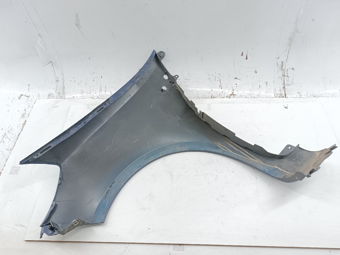 Guarda Lamas Direito RENAULT CLIO III (BR0/1, CR0/1) | 05 - 