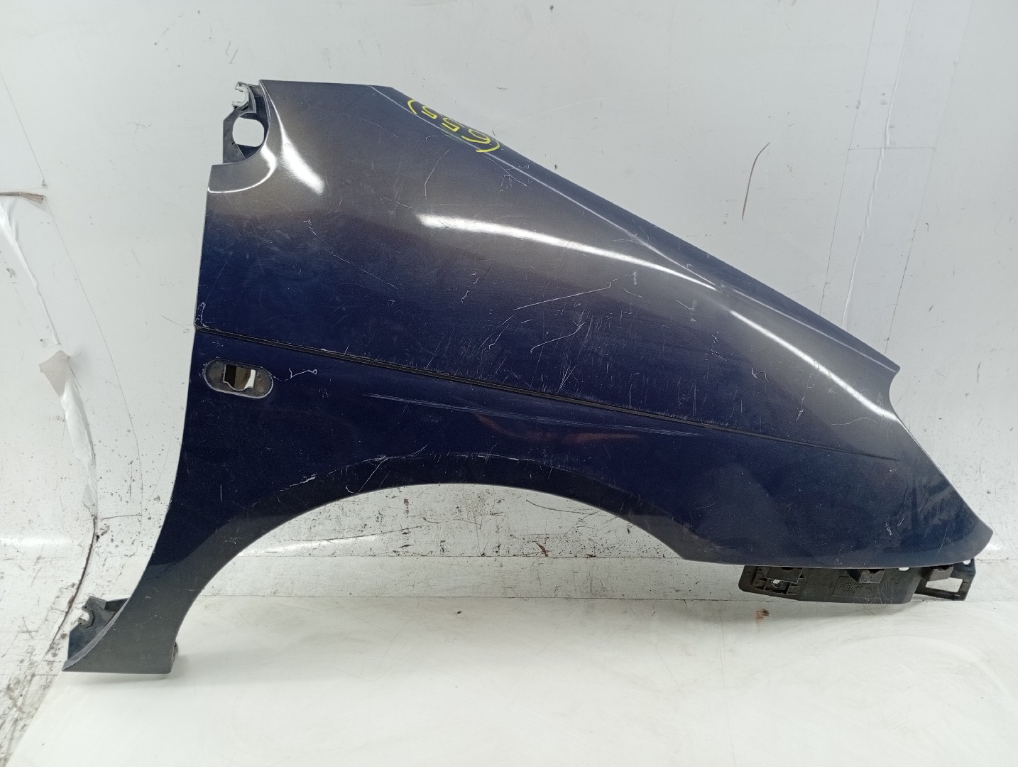 Guarda Lamas Direito RENAULT MEGANE Scenic (JA0/1_) | 96 - 01