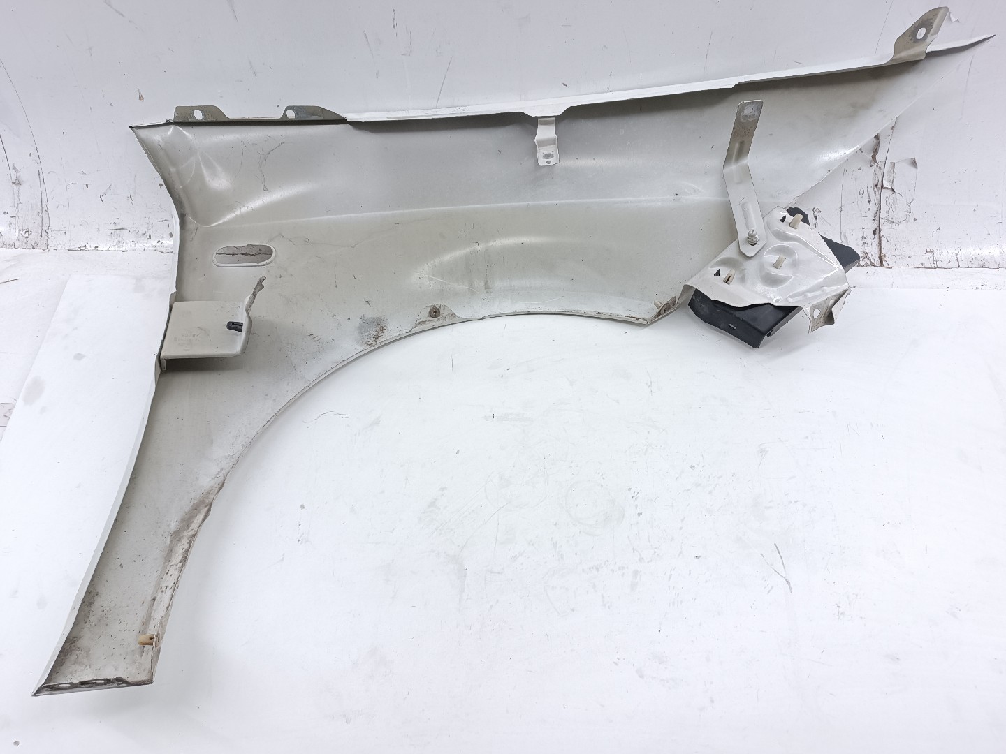 Guarda Lamas Esquerdo SEAT ALTEA (5P1) | 04 - 