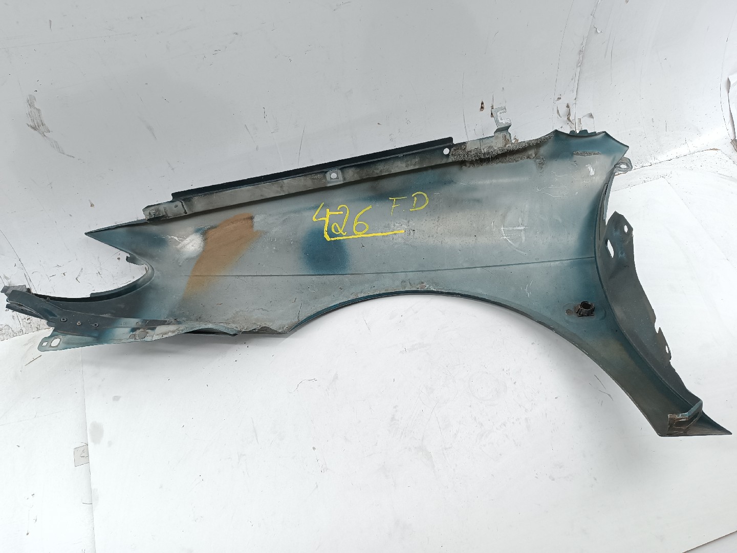 Guarda Lamas Direito RENAULT MEGANE Scenic (JA0/1_) | 96 - 01