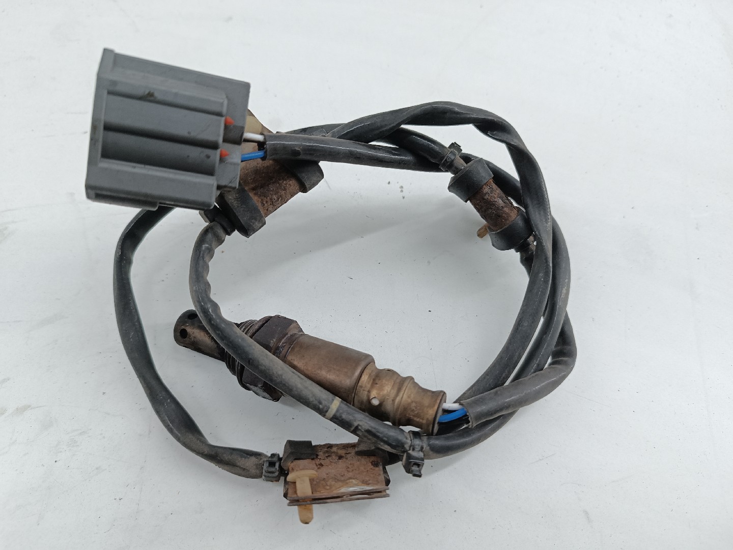 Sonda Lambda MAZDA 6 três volumes (GH) | 07 - 13 Imagem-1