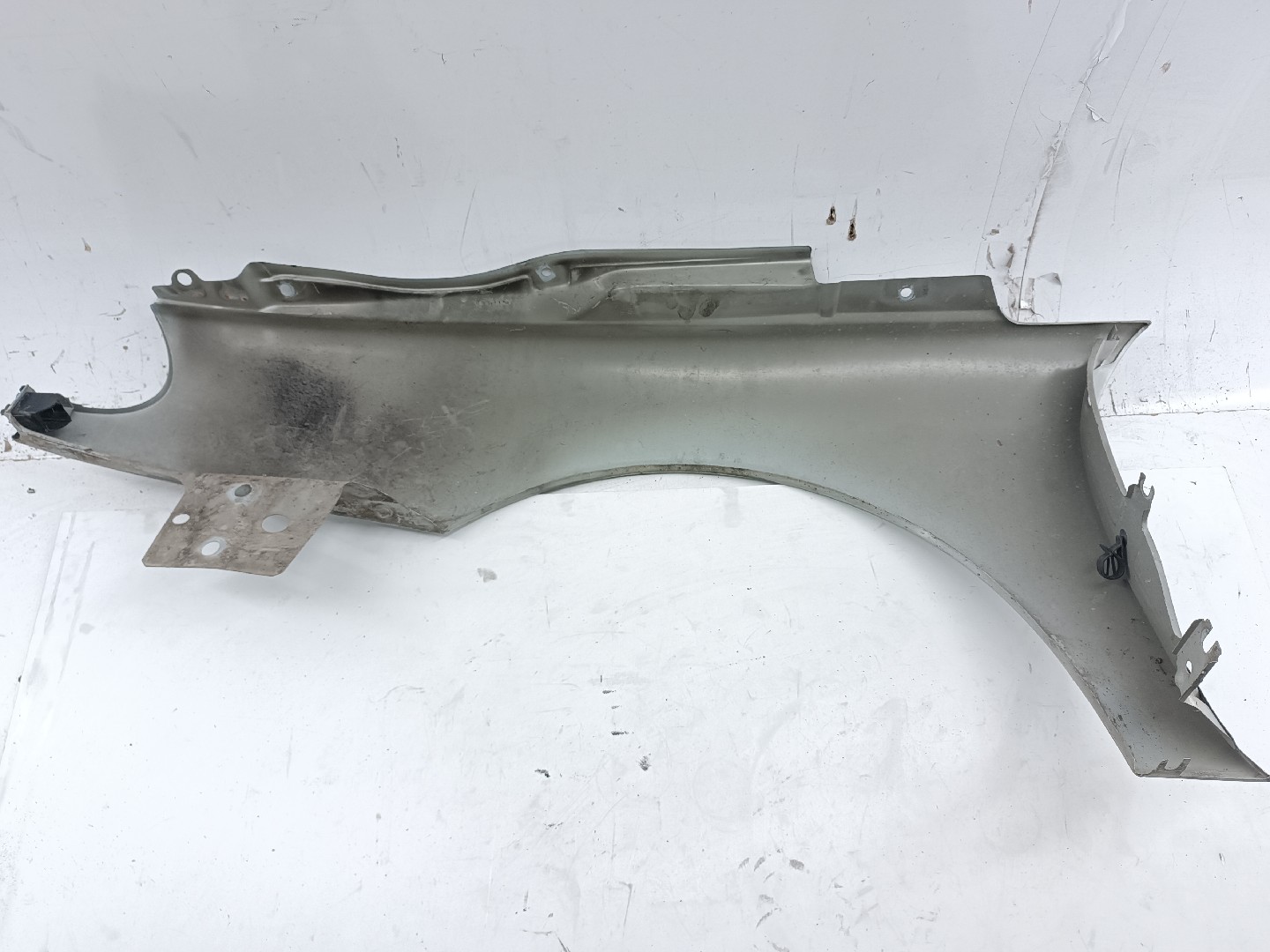 Guarda Lamas Direito RENAULT LAGUNA I (B56_, 556_) | 93 - 02